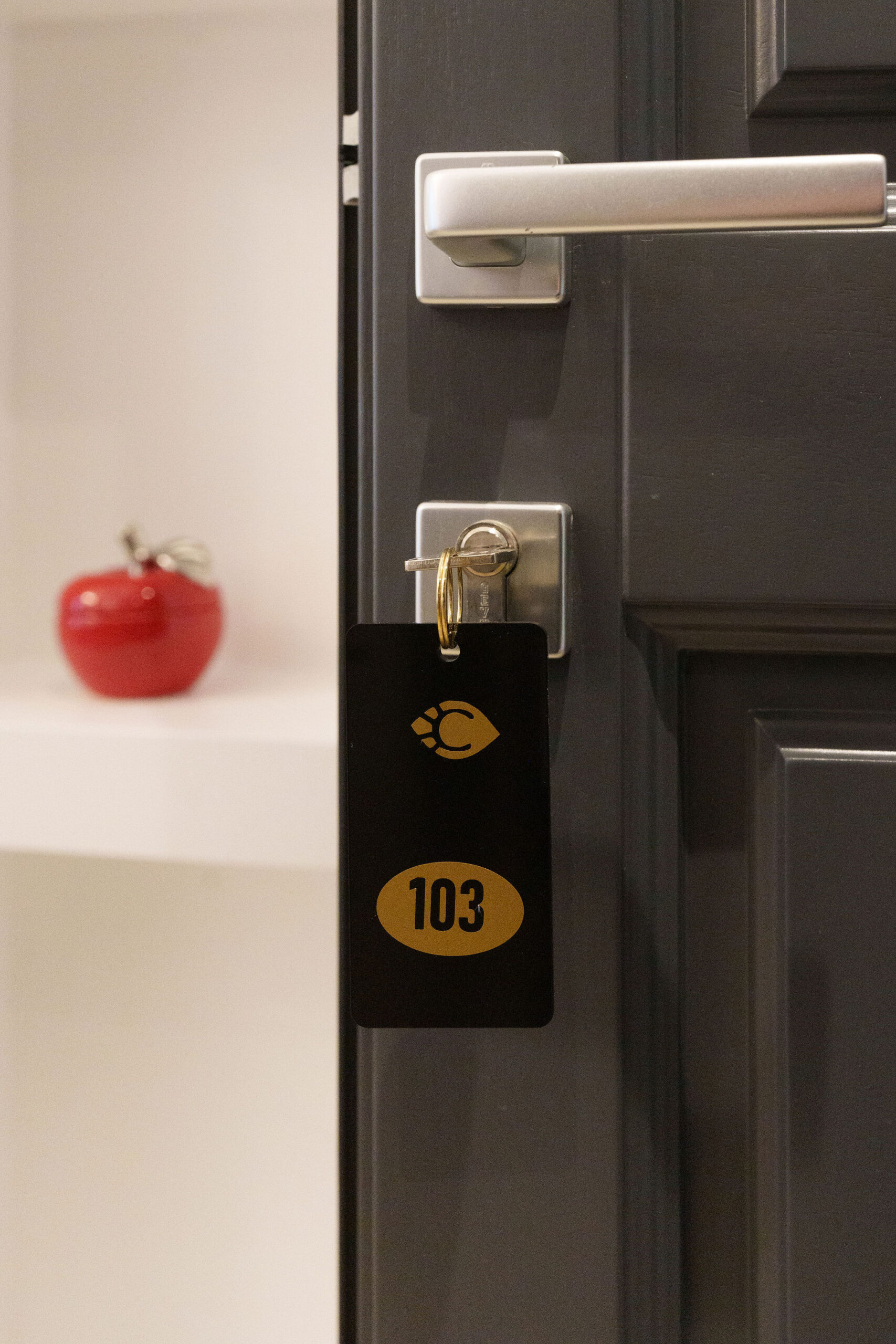 Suite 103 at The Cosmopolitan Karterados Urban Suites